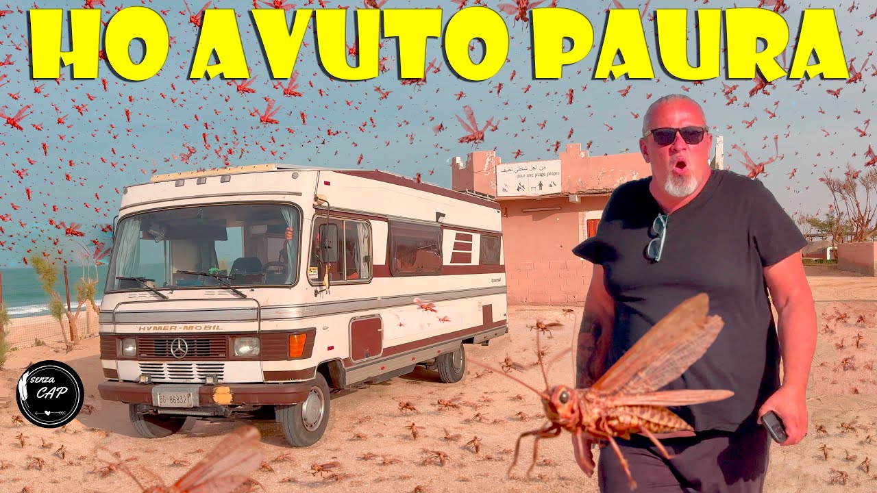 Mauritania: invasione LOCUSTE nella capitale NOUAKCHOTT