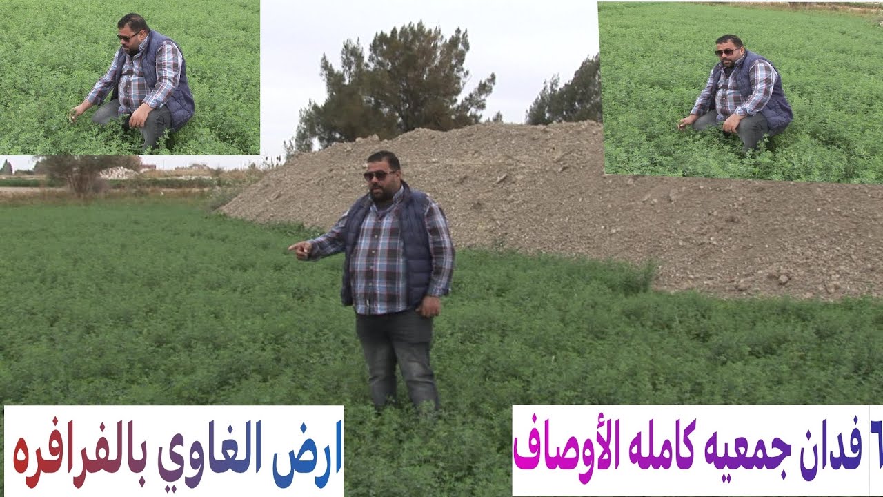 ٦ فدان جمعيه كامله الأوصاف ارض الغاوي اغتنم الفرصه بالفرافره 