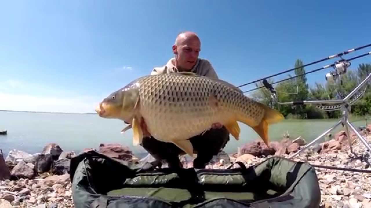 Big Carp fishing on the Lake Balaton with Zsolt Bundik part 1