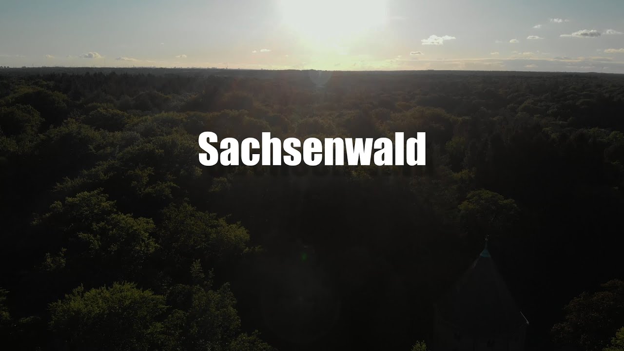 Sachsenwald//Waldparadies//Fürst von Bismarck