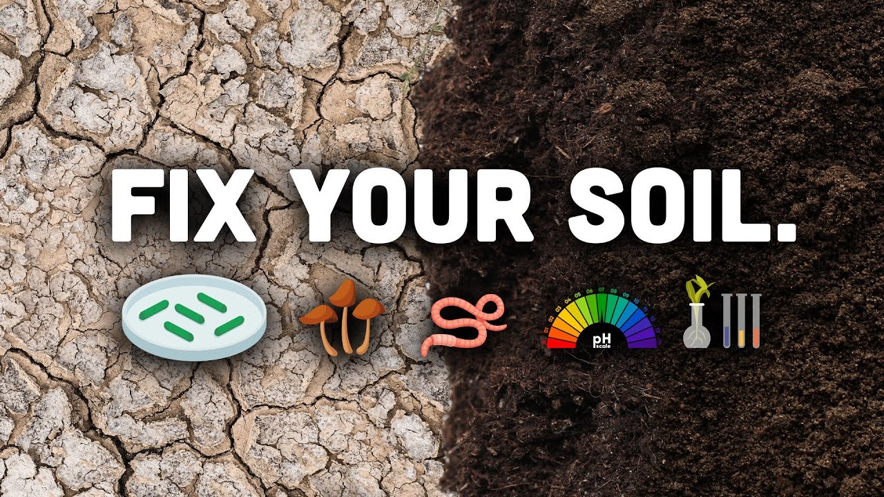 The Science of Soil: What Every Gardener Needs to Know 🌱🔬