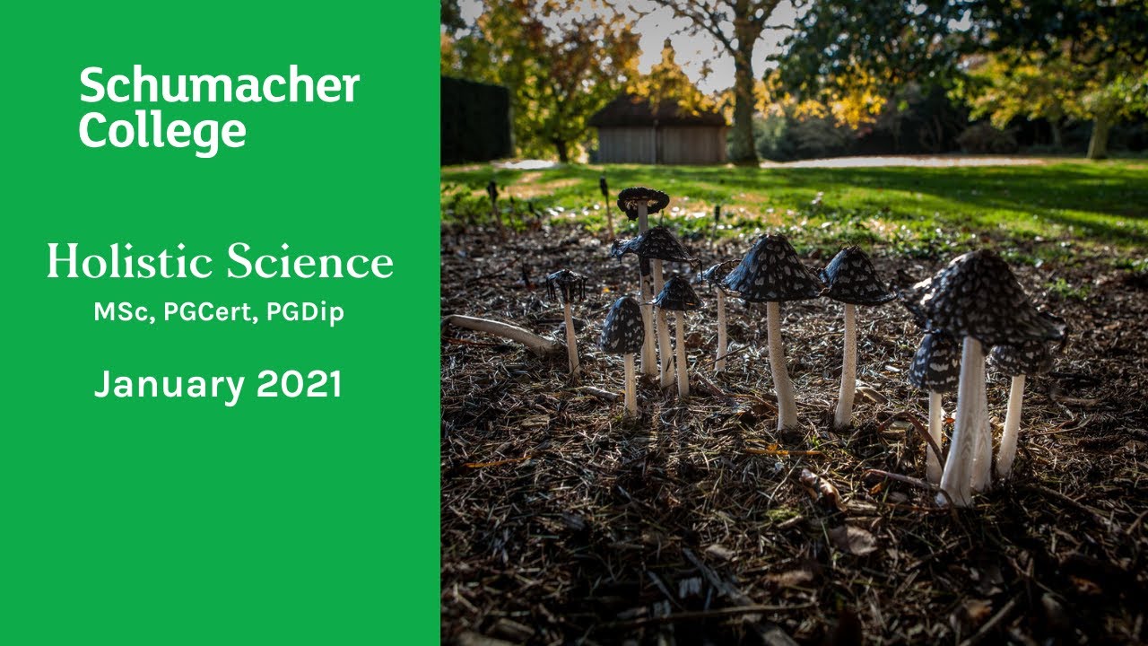 Why study Holistic Science at Schumacher College?