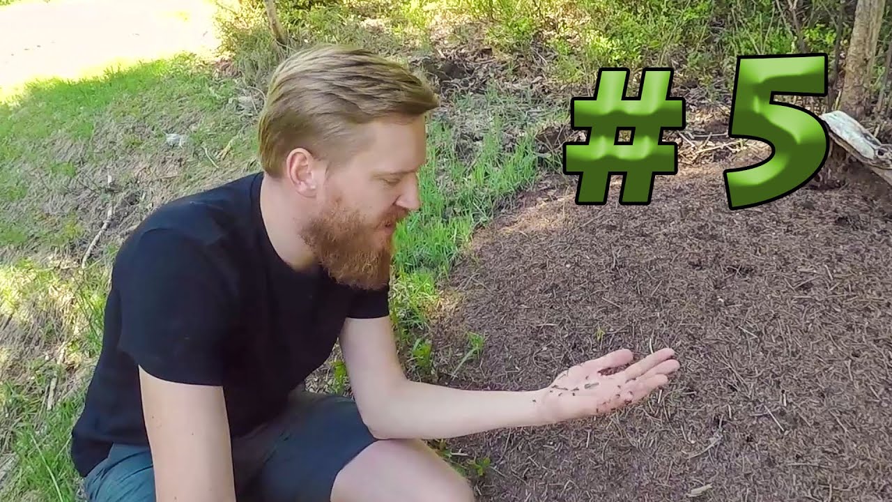 Babiogórska wiosna - Dziki Zew #5