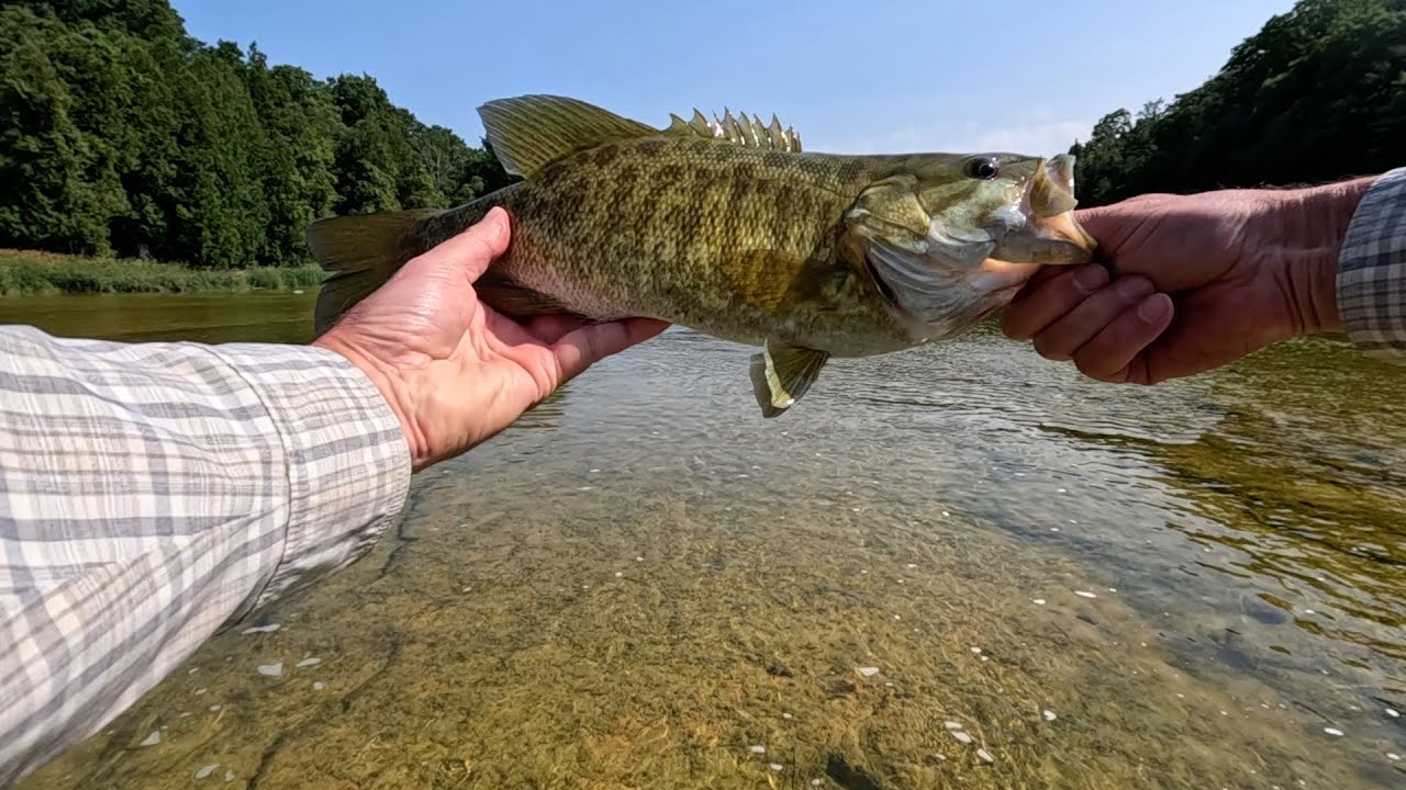 Fishing for river smallmouth bass