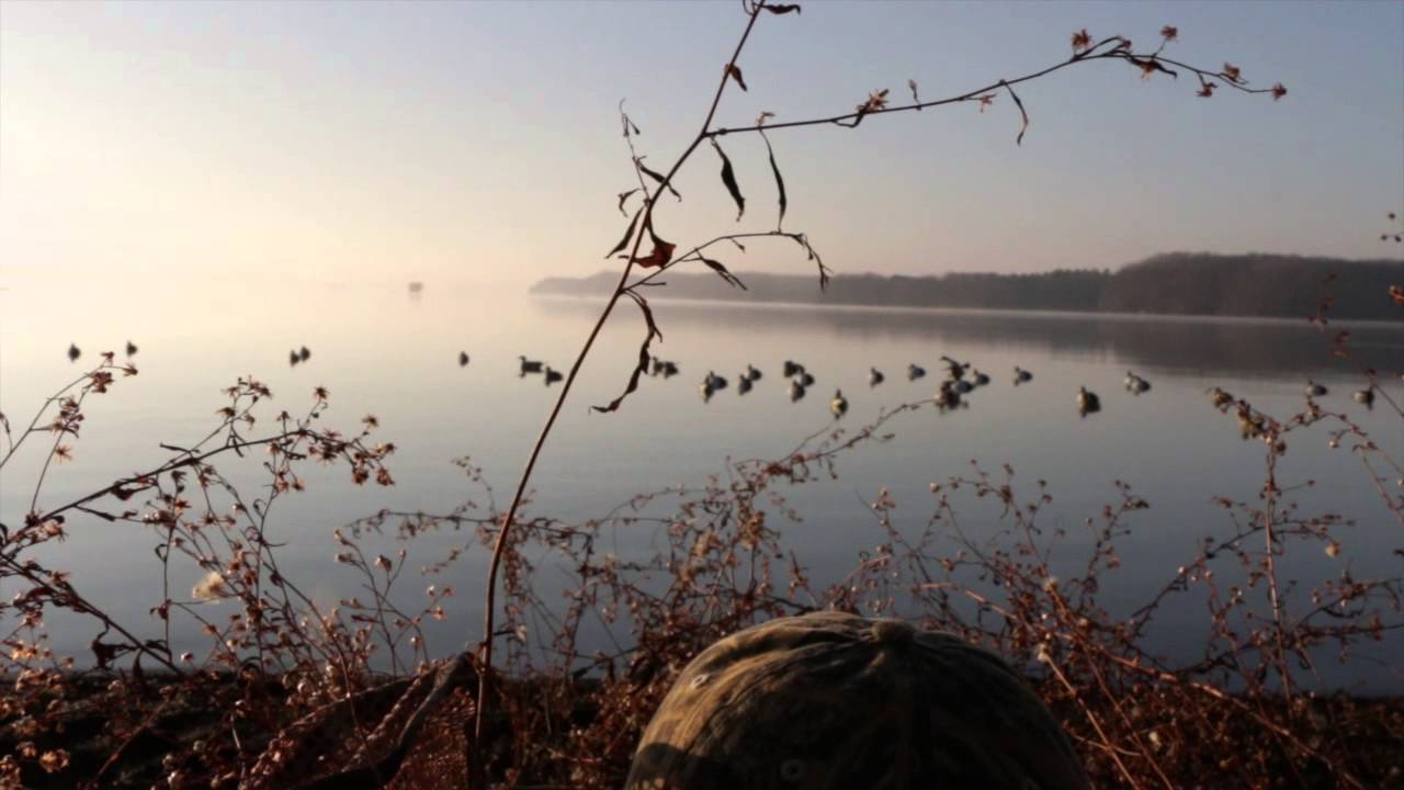 Folded Wing Outdoors Lake Barkley Diver Hunt