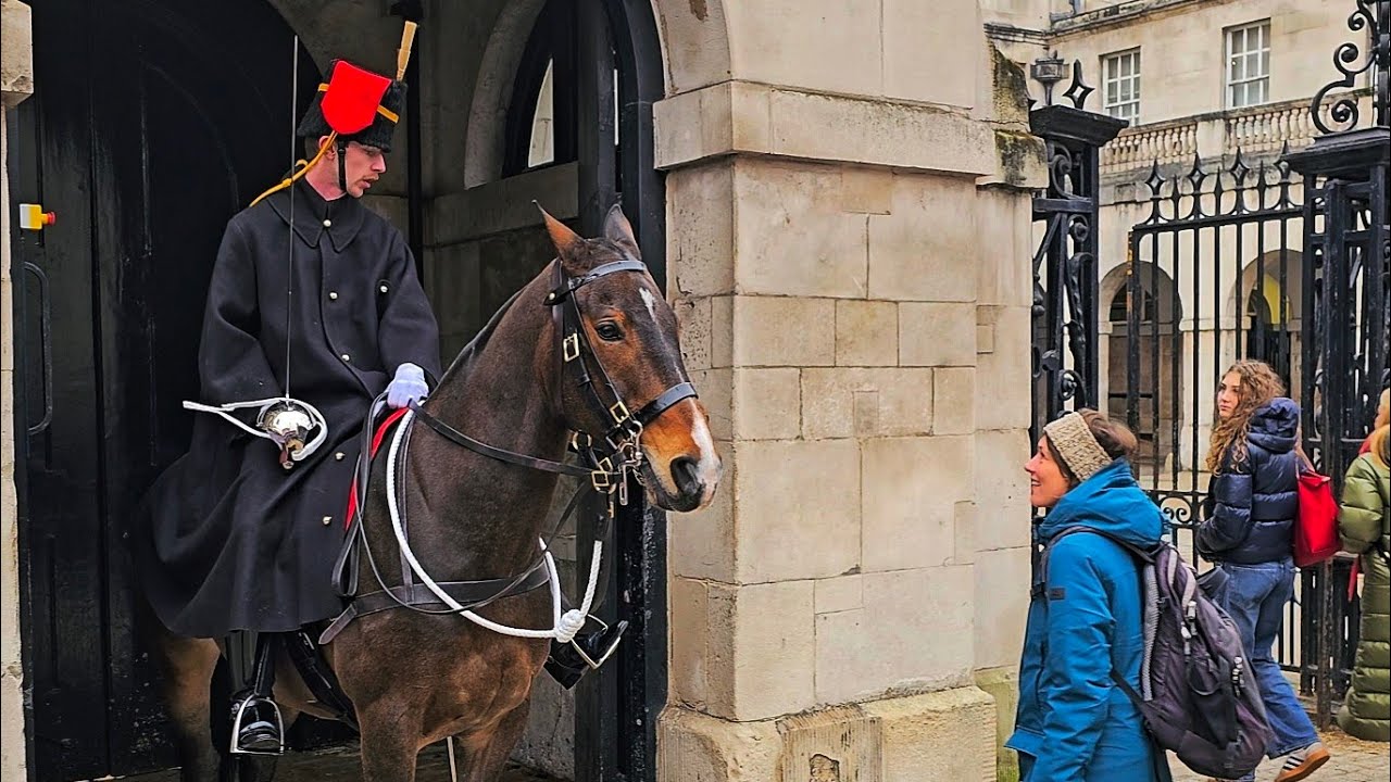 OUTSTANDING Guard Returns to the Box and Brings Solid Enforcement at Horse Guards!