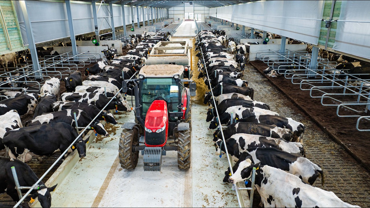 Bio komposztos pihenőboxok + tr&aacute;gyarobot! &Uacute;j ist&aacute;ll&oacute;t adott &aacute;t a  Biharnagybajomi D&oacute;zsa Agr&aacute;r Zrt.!