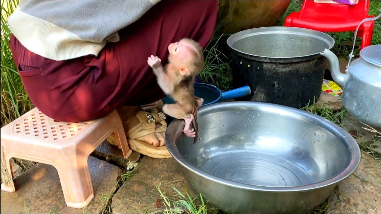 Dr@matic NB Jasmine Huqqing Mom Leg Tightly N0t Want To Take A Bath
