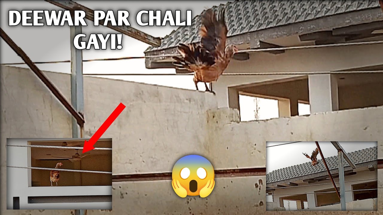 Setup Saaf Kiya… Aur Yeh Kya Ho Gaya! 😲