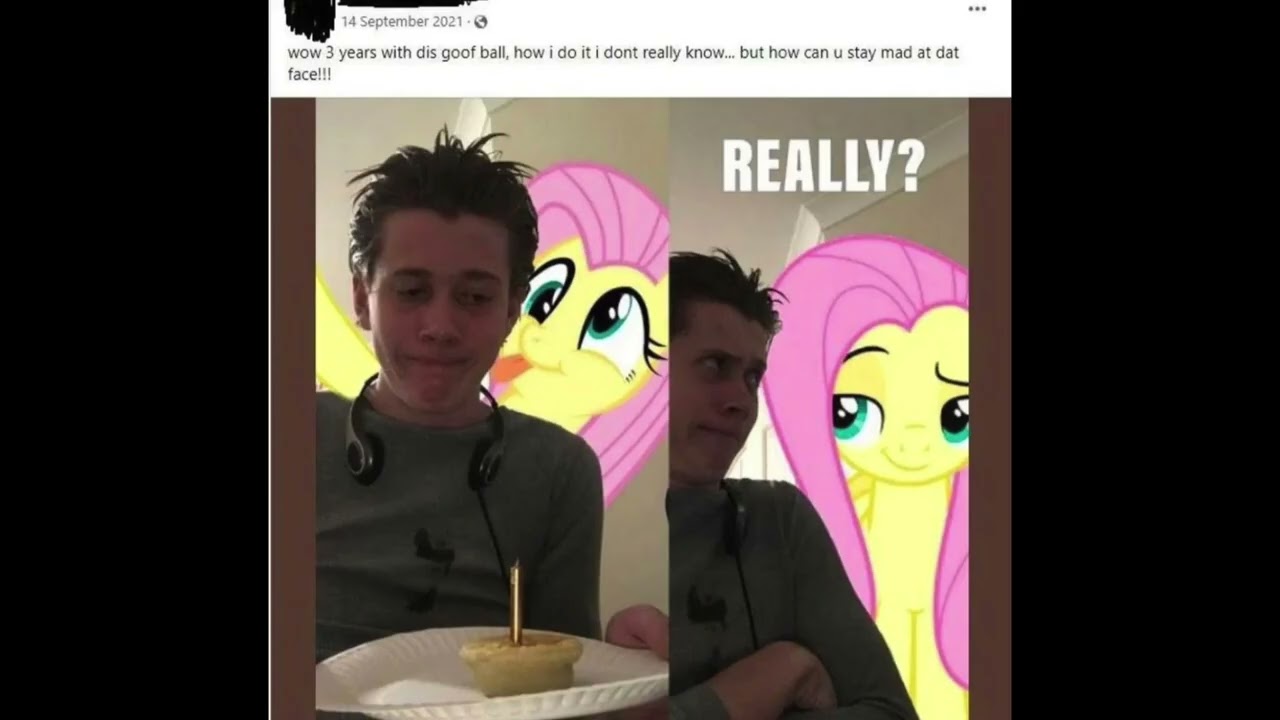 regular brony types (ft. Aika Aster)