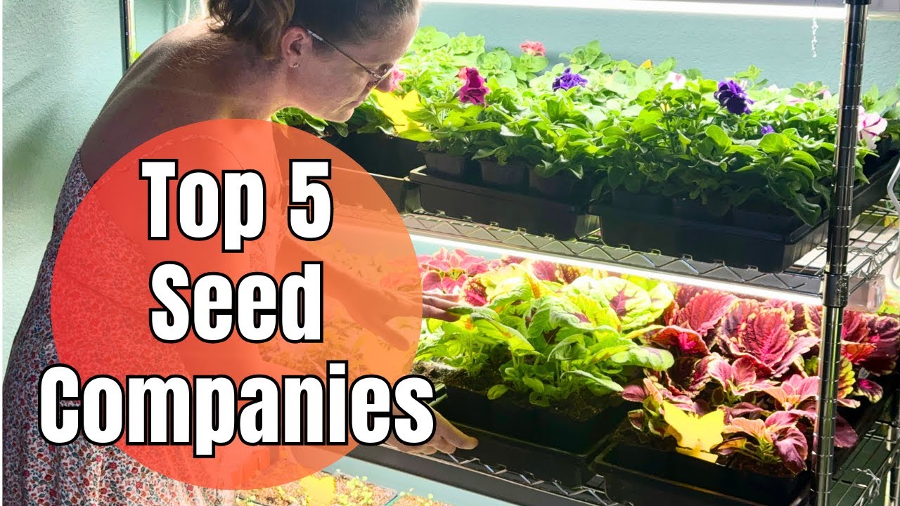 🌱 ТОП-5 компаний по продаже семян || Мои любимые компании по продаже семян онлайн || Покупка семя...