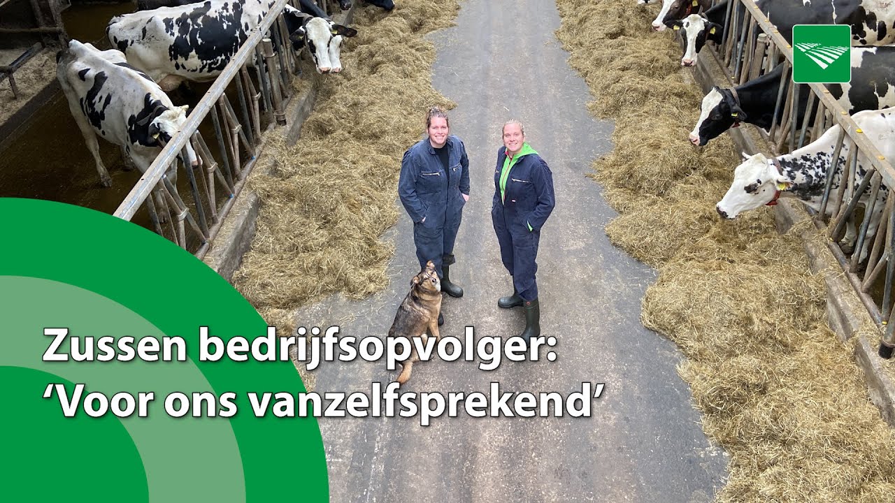 Zussen leiden boerenbedrijf: ‘Voor ons vanzelfsprekend’