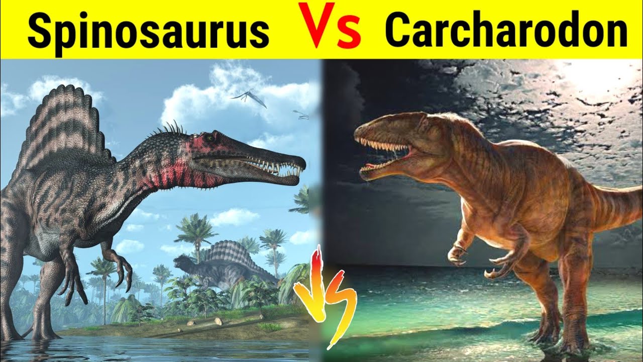 Spinosaurus Vs Carcharodontosaurus | क्या African T-Rex मार पायेगा Spino को ?