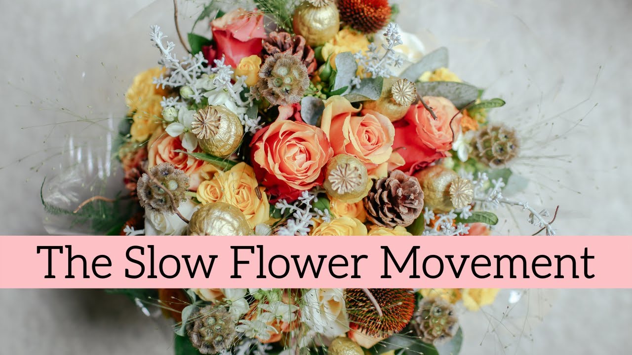 What is the Slow Flower Movement? with Debra Prinzing | Sustainability Champions