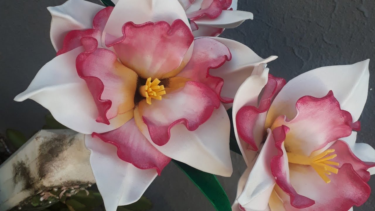 flor narciso sem frisadores( criação  jo artes rosas)