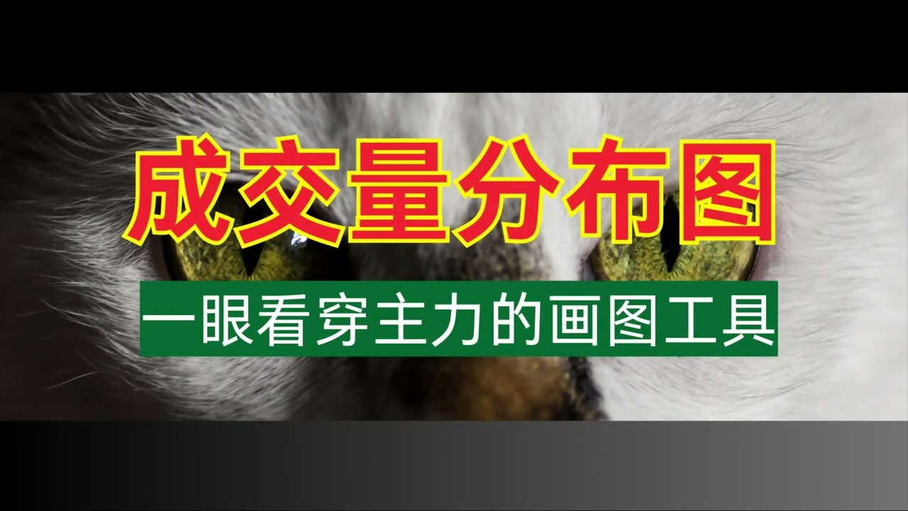 SMC策略课程 成交量分布图，一眼看穿主力 | 新手交易必看 | SMC/ICT 聰明錢 |