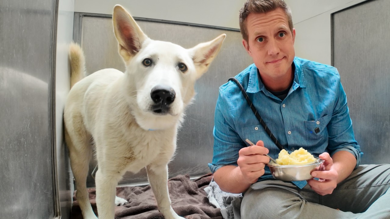 Watch the moment he realizes this THANKSGIVING meal's for him