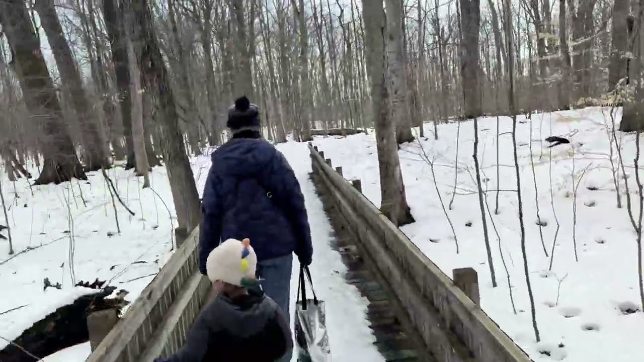 Calvin University Ecosystem Preserve and Native Gardens (in winter)