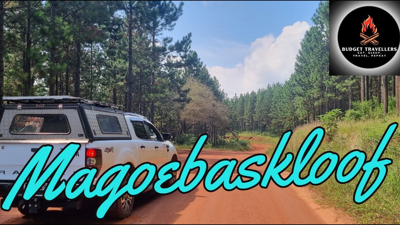 CABIN IN THE WOODS !! Magoebaskloof, Limpopo's most underrated travel destination.