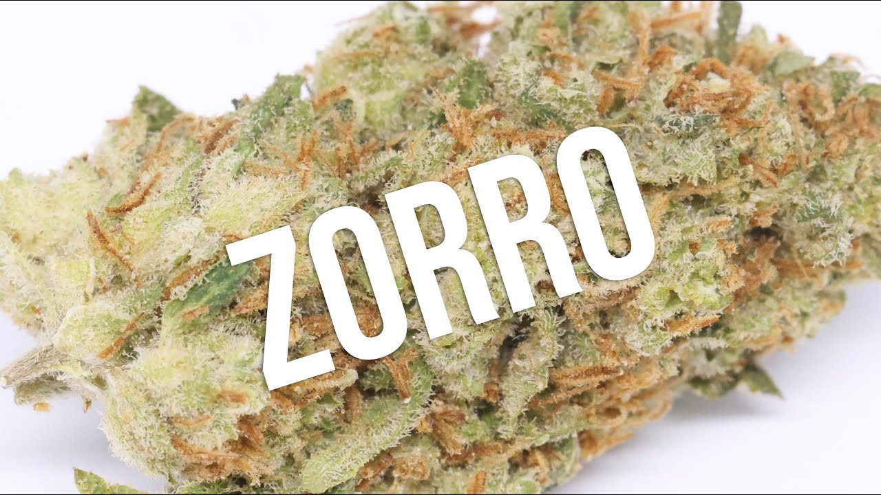 Zorro