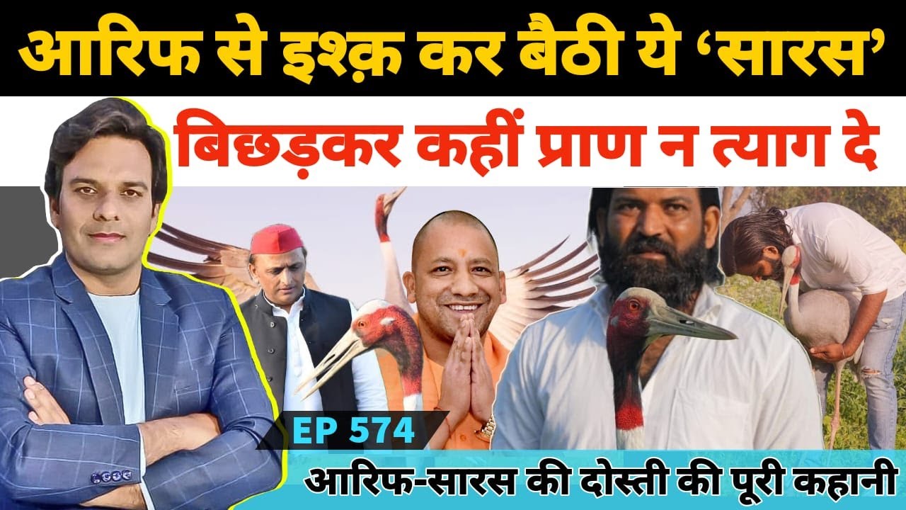 आरिफ से इश्क कर बैठी ये सारस बिछड़कर कहीं प्राण न त्याग दे #Saras #Arif #Akhileshyadav