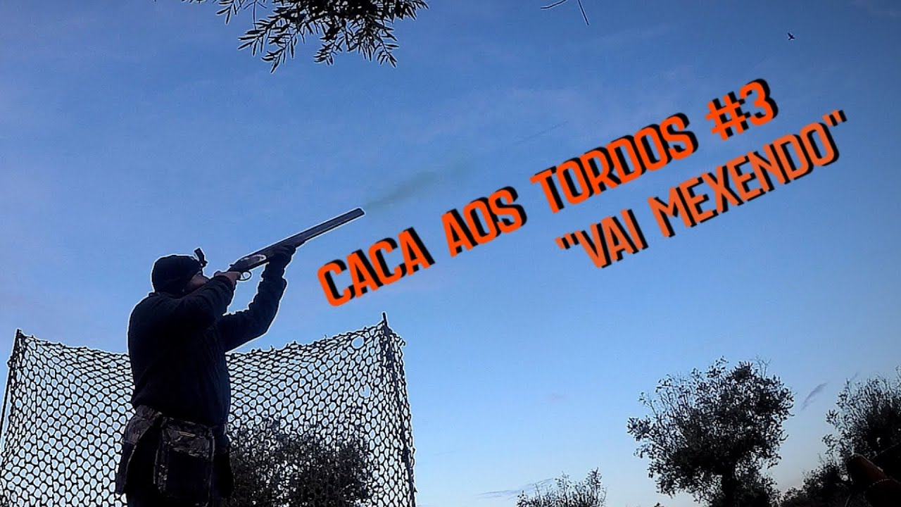 Caça ao tordos 