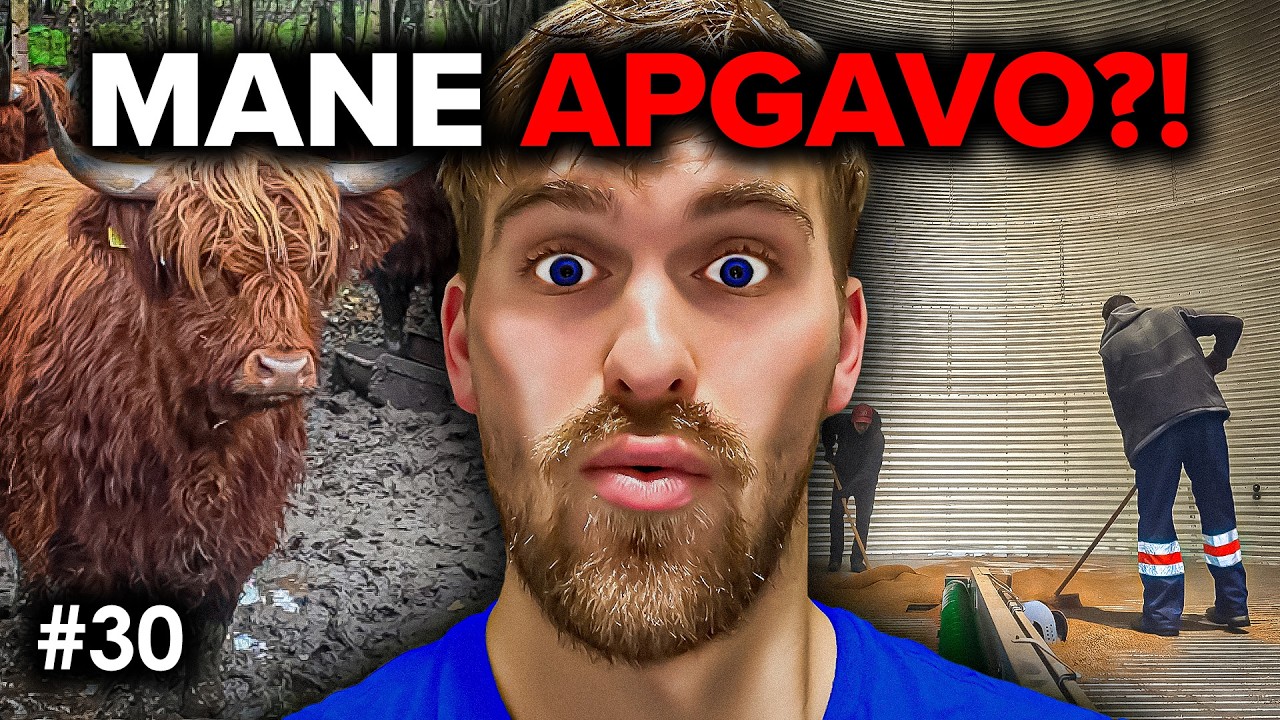 Ir Karvytes Pabučiavom, Ir Kviečių Dulkių Paragavom! // JAUNASIS ŪKININKAS #30