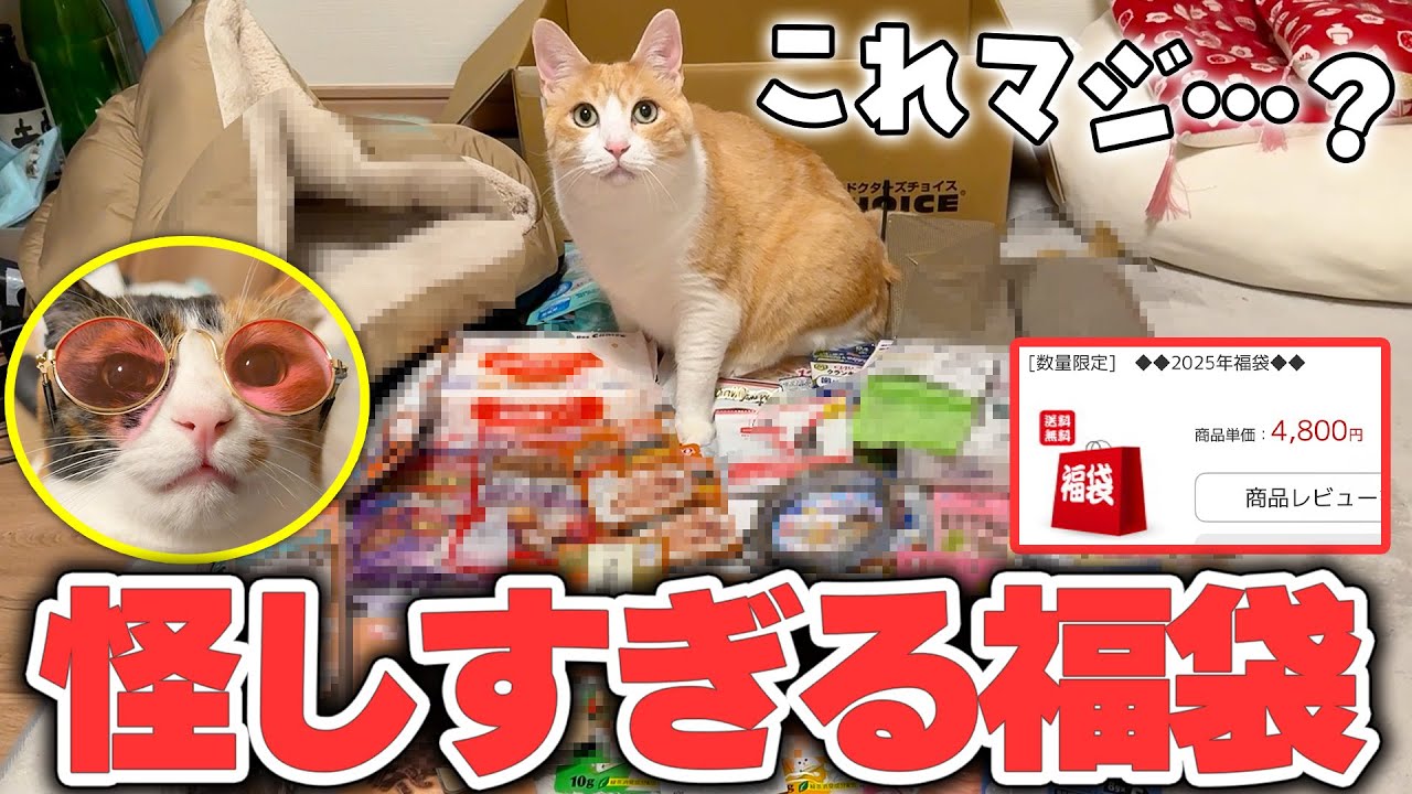 【開封】ネットにあった怪しすぎる“猫用福袋”を買ってしまった結果…。中身が…うん…