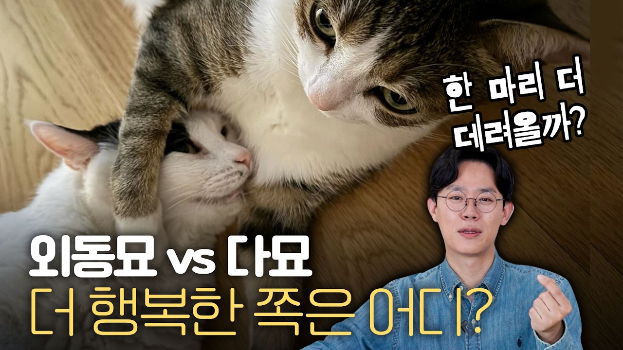 돈이&nbsp;2배&nbsp;이상&nbsp;들어도&nbsp;고양이 한 마리는&nbsp;싫은&nbsp;이유 |&nbsp;미야옹서베이
