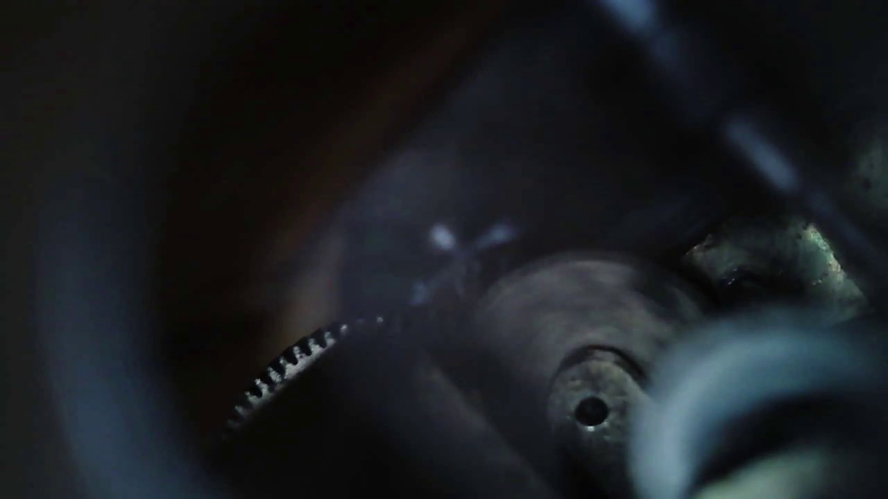 reuge musical box enlarge [microscope]