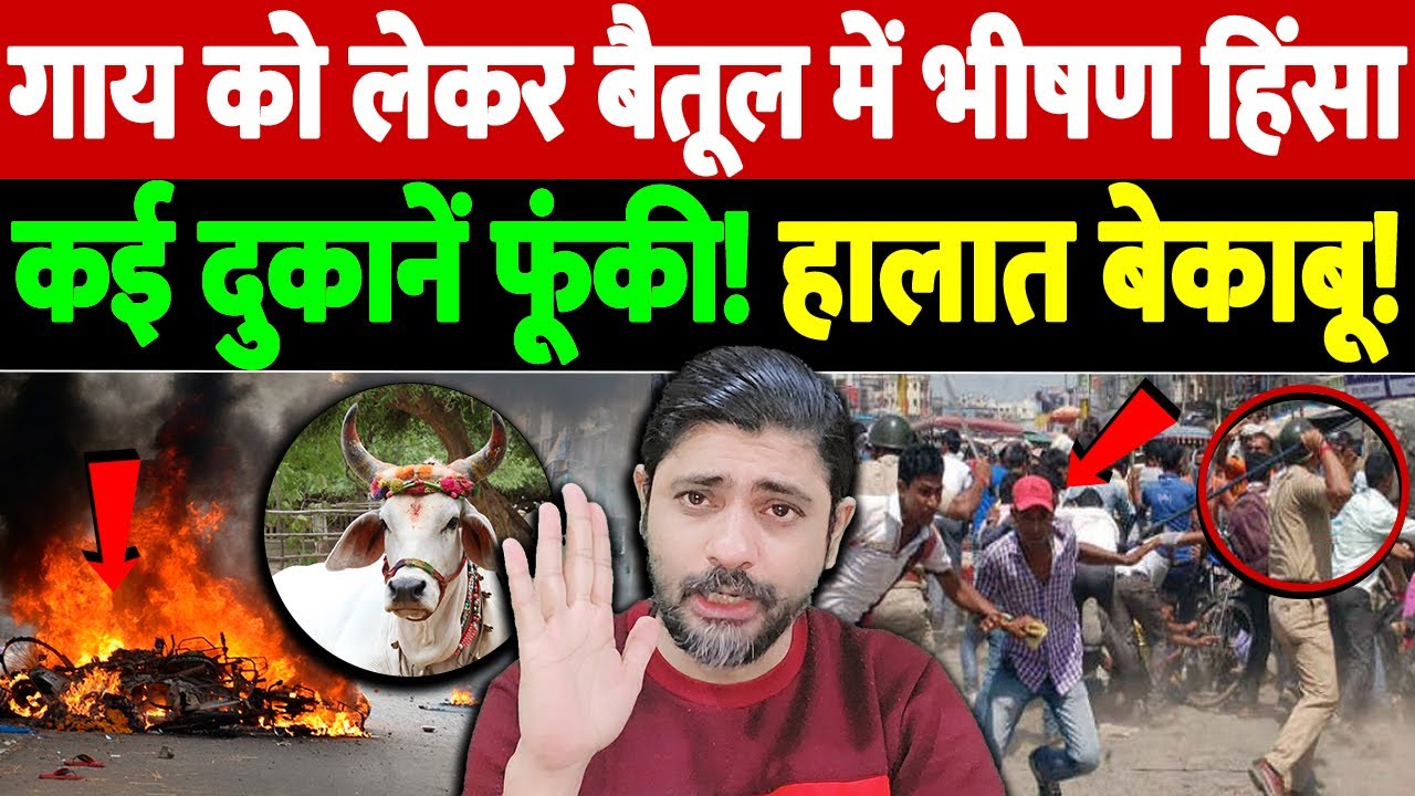 गाय को लेकर बैतूल में भीषण हिंसा, कई दुकानें फूंकी! हालात बेकाबू! | Betul violence | the live tv