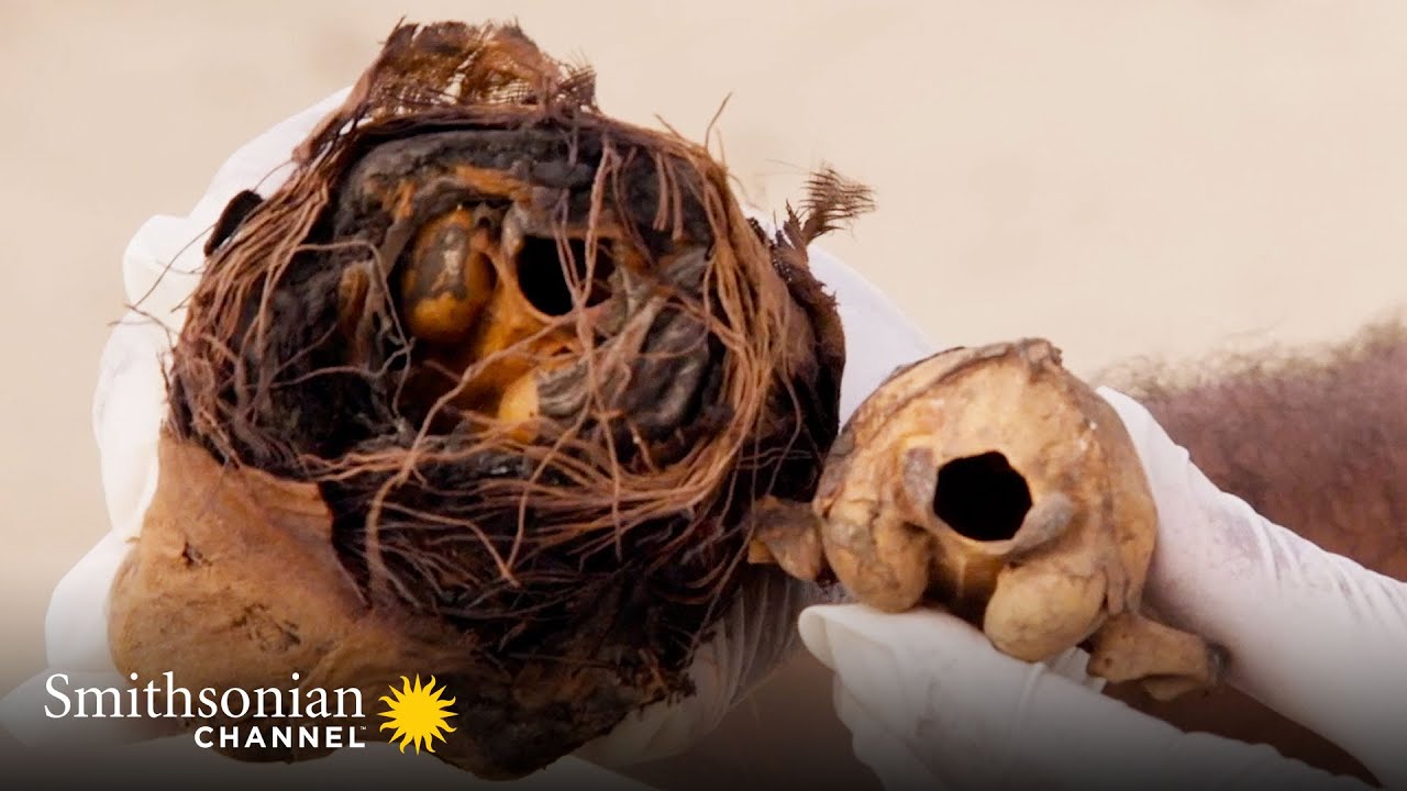 Cat Mummies Were a Big Thing in Ancient Egypt 🐈&zwj;⬛ | Smithsonian Channel
