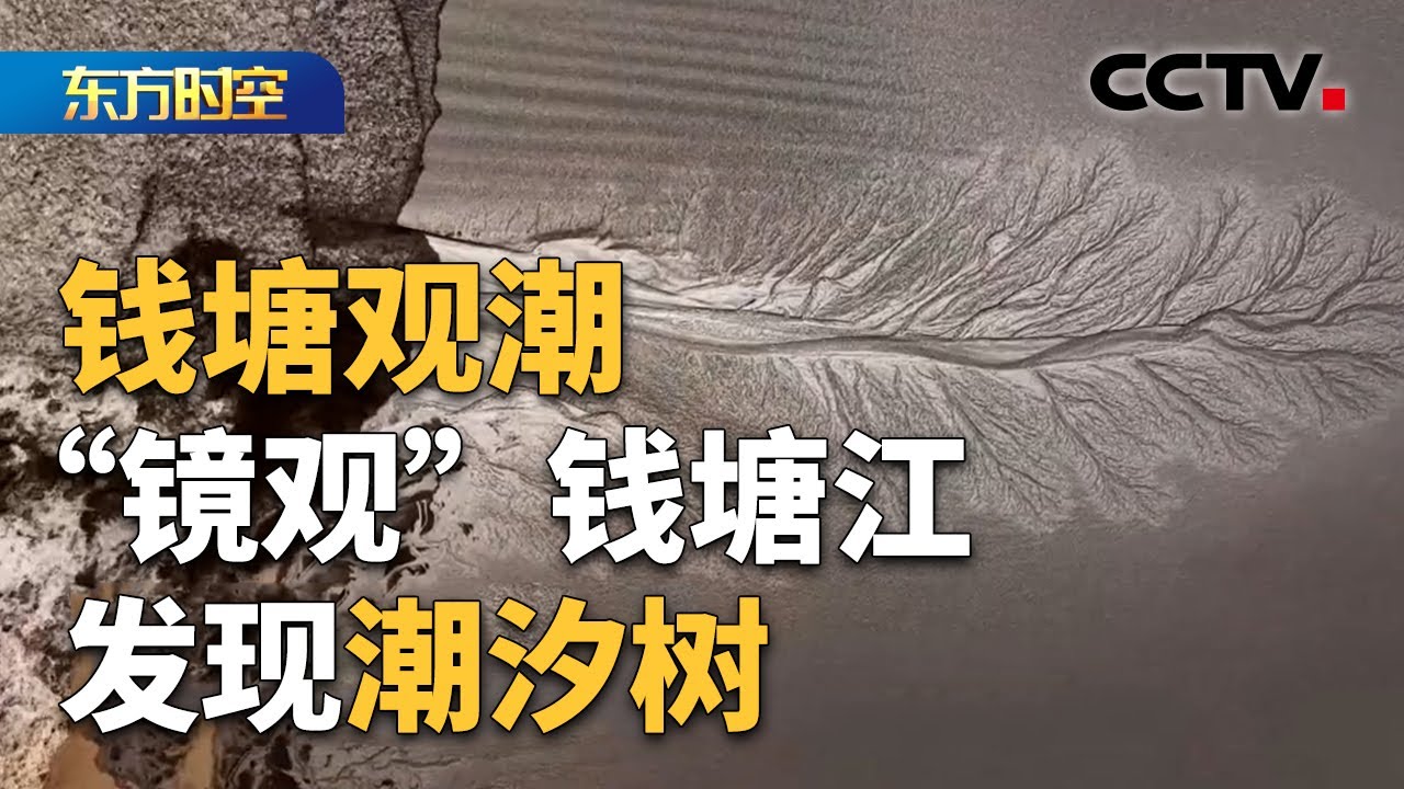 钱塘观潮·浙江海宁：空中俯瞰潮水冲坝 钱塘江大潮如约抵达盐官 | CCTV「东方时空」
