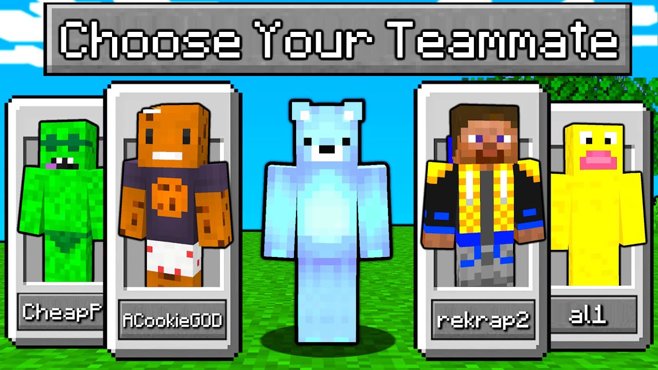 Minecraft, But You Can Choose Your TEAMMATE...
