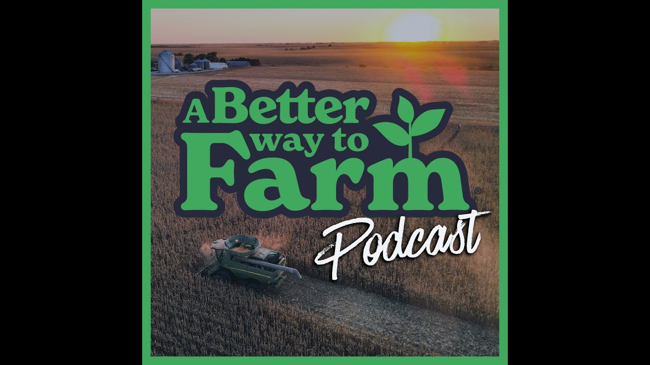 353: Grain Marketing Expert Reveals What to Do Before The Market Turns