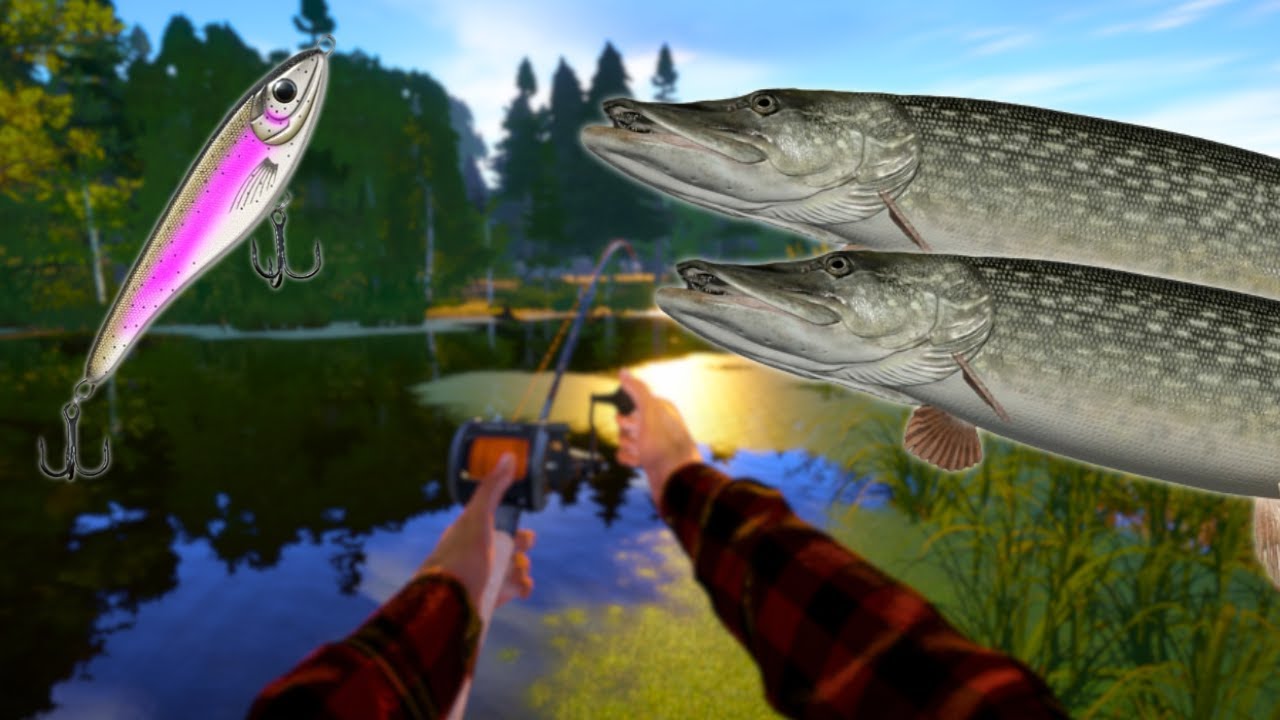 ACTIVE PIKE SPOT IN OLD BURG LAKE! #892 Russian fishing 4