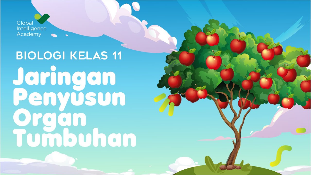 BIOLOGI Kelas 11 - Jaringan Penyusun Organ Tumbuhan | GIA Academy