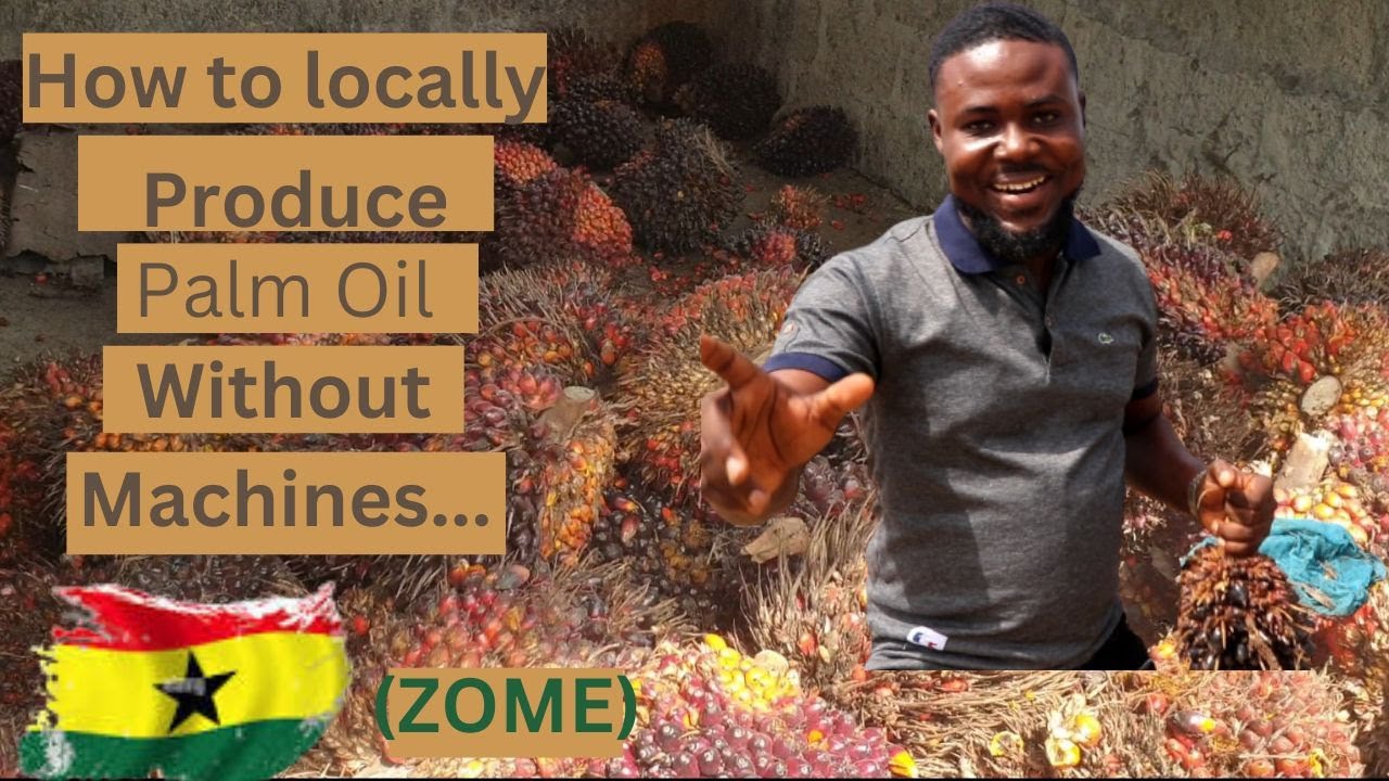 Former taxi driver tells how profitable PALM OIL production is... It is profitable than Gold mine...