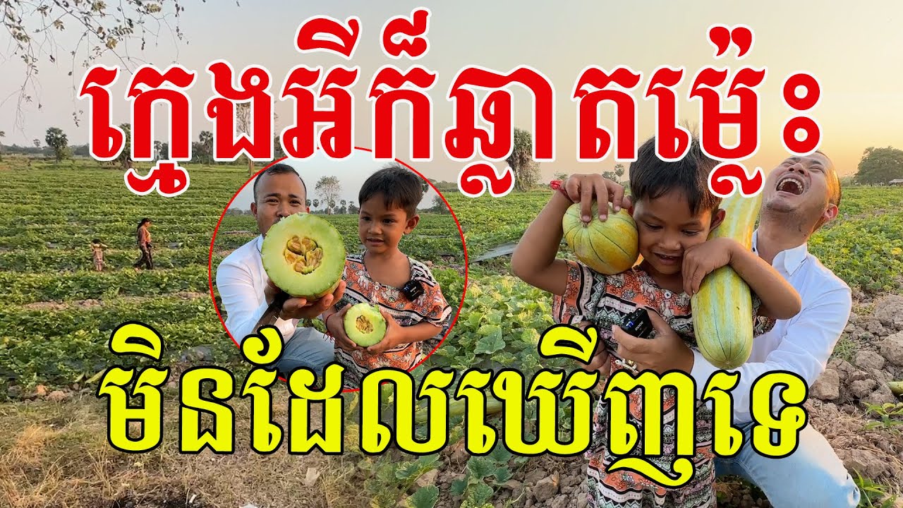ក្មួយប្រុសម្នាក់នេះឆ្លាតណាស់ មិនដែលឃើញទេ ក្នាញ់ណាស់