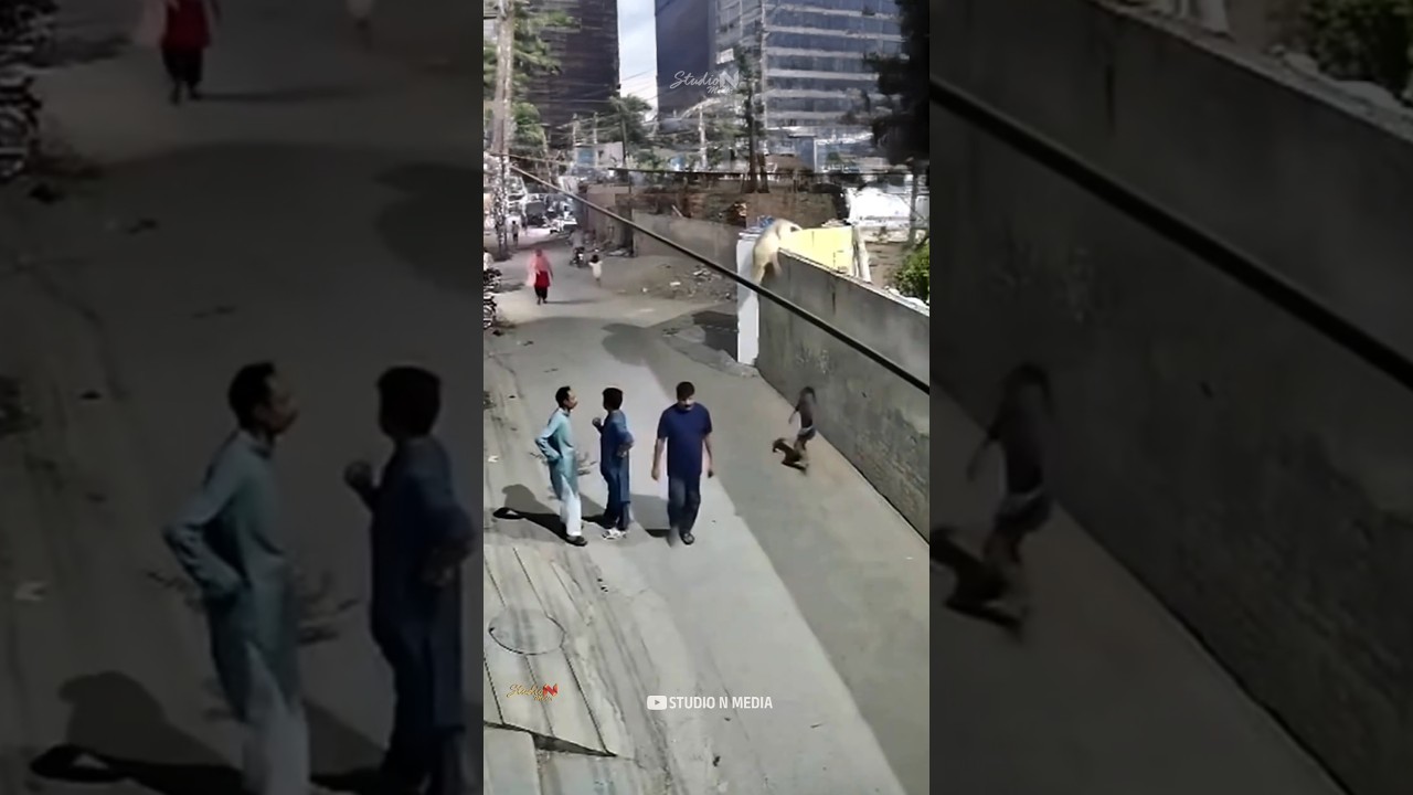 Lion Attack in the city🦁🥵 The man's bravery saves the woman. #shorts #lion #awareness #brave