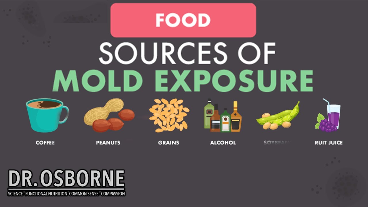 Food Sources of Mold Exposure