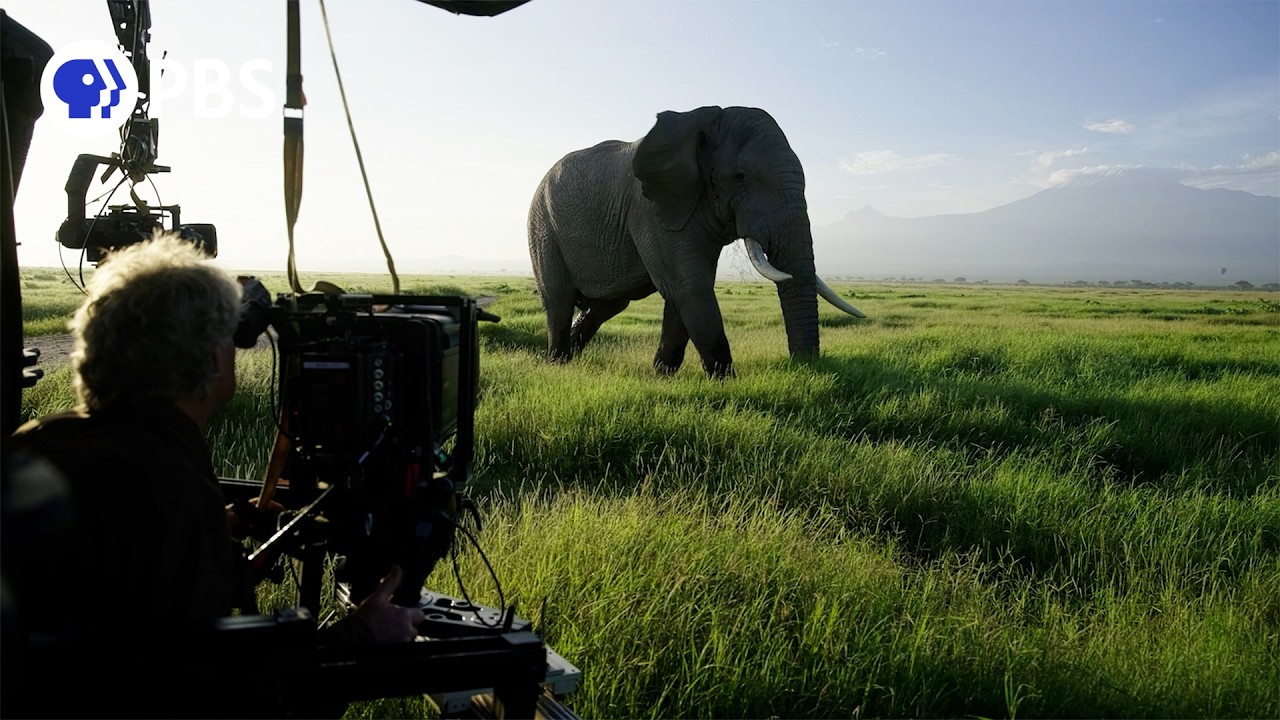 Filming Giants | Behind the Scenes of Tusker