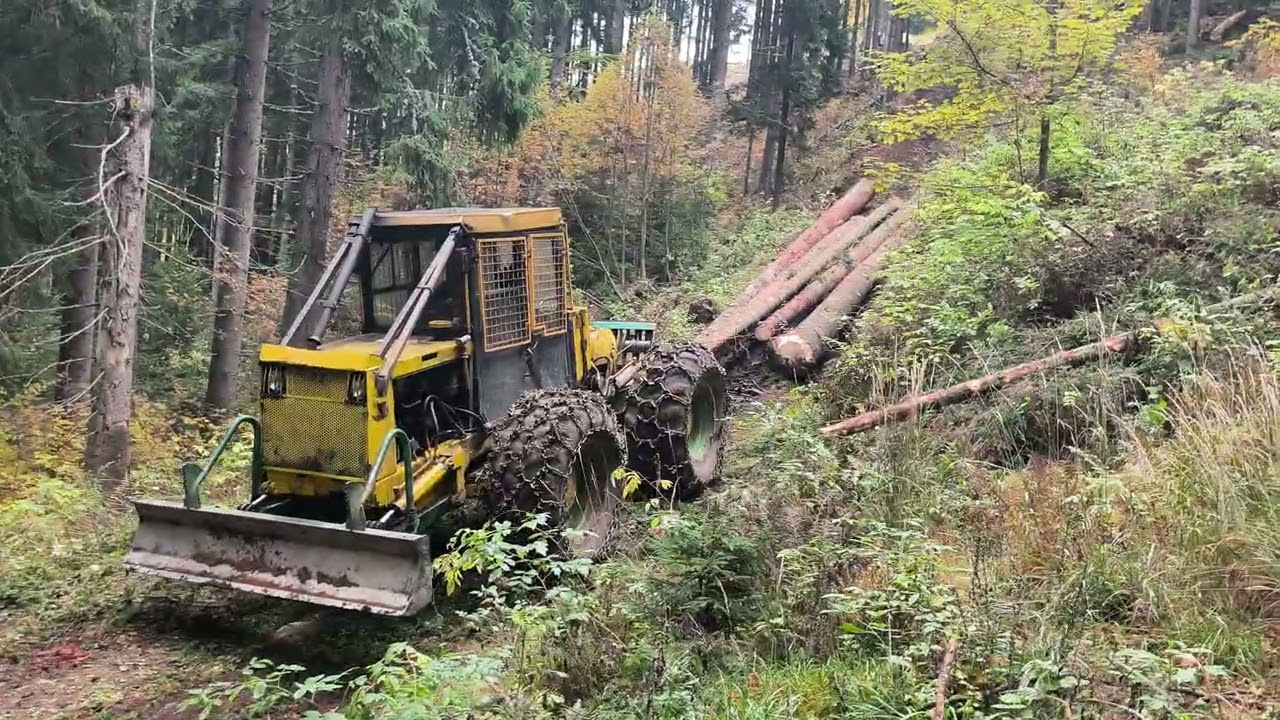 Logging Skidder LKT 81t 