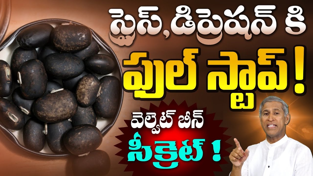 నిద్ర, మూడ్, మెమరీ అన్నీ ఫిక్స్ చేసే పొడి ఇదే! | Velvet Beans Powder Benefits | Dr.Manthena Official