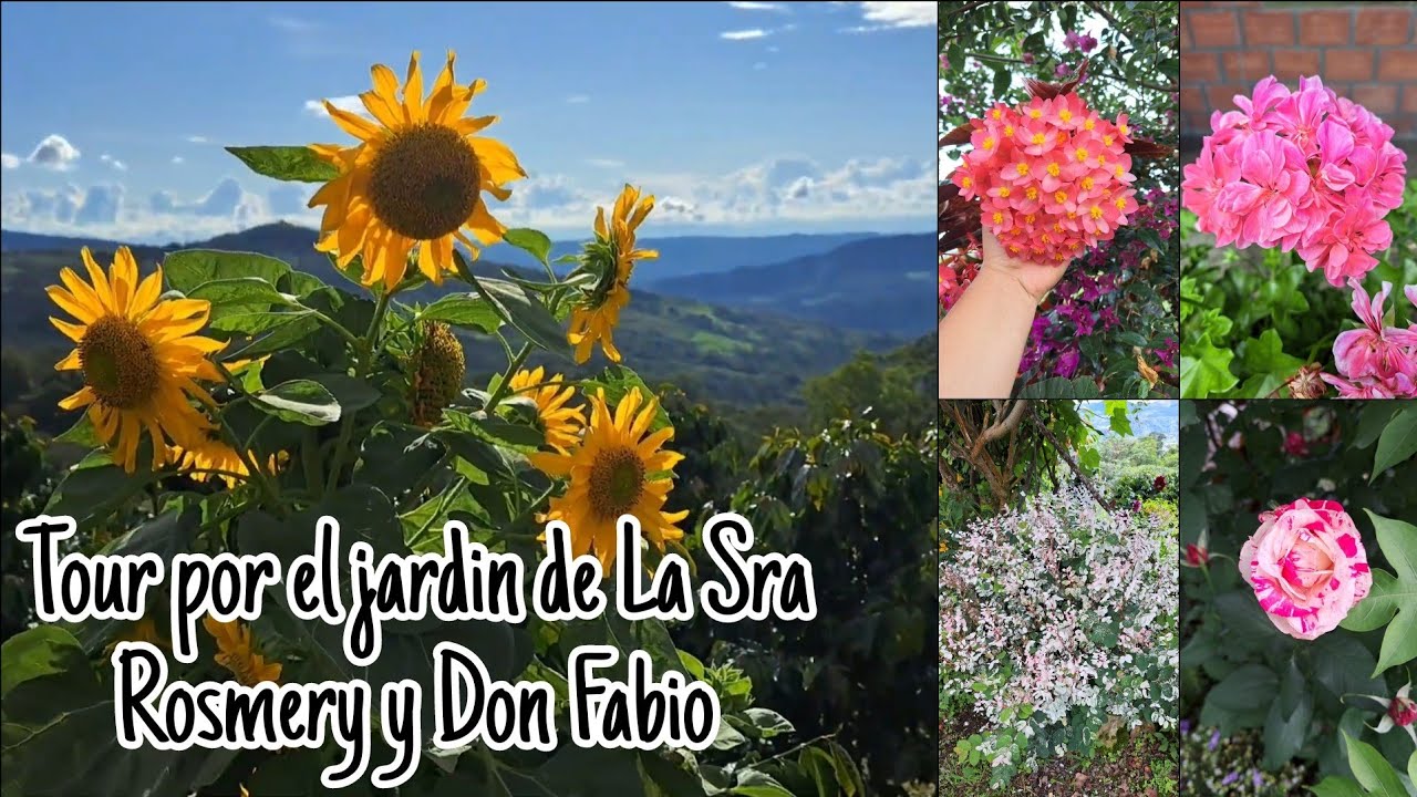 Tour por hermoso jardín en el campo Colombiano lleno de muchas  Flores.