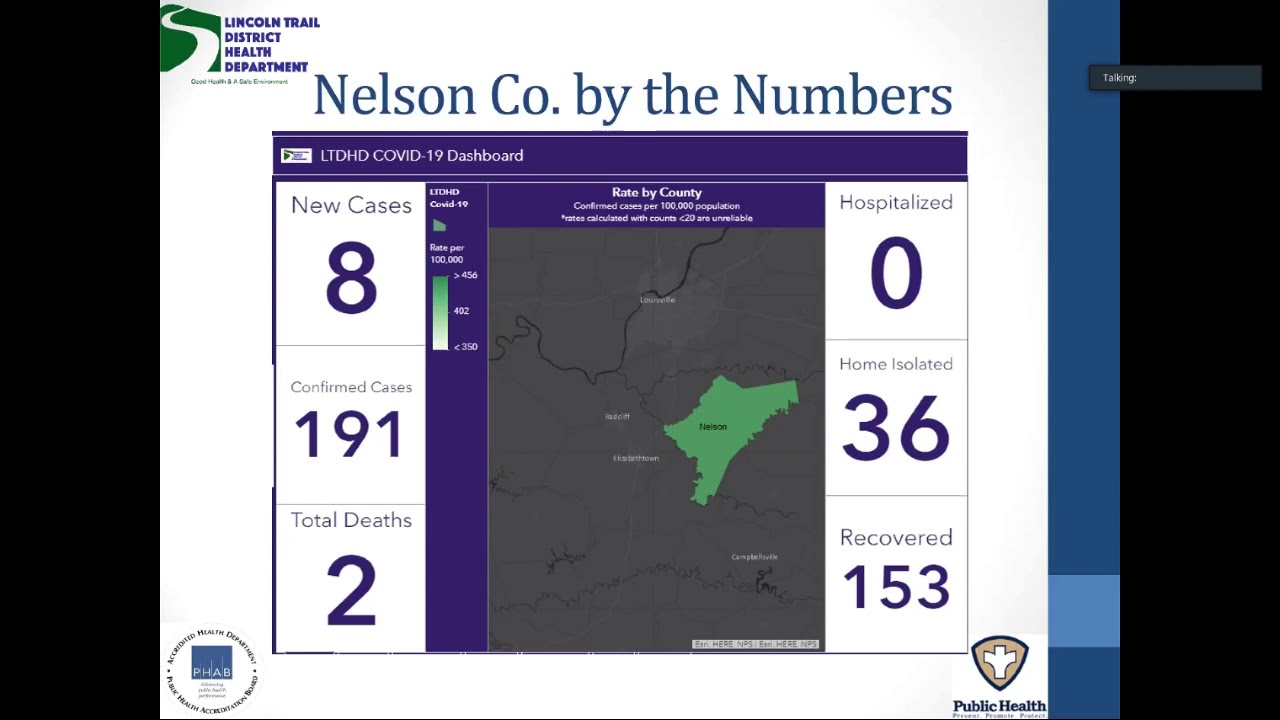 Aug 4 2020 Nelson Fiscal Court zoom meetin