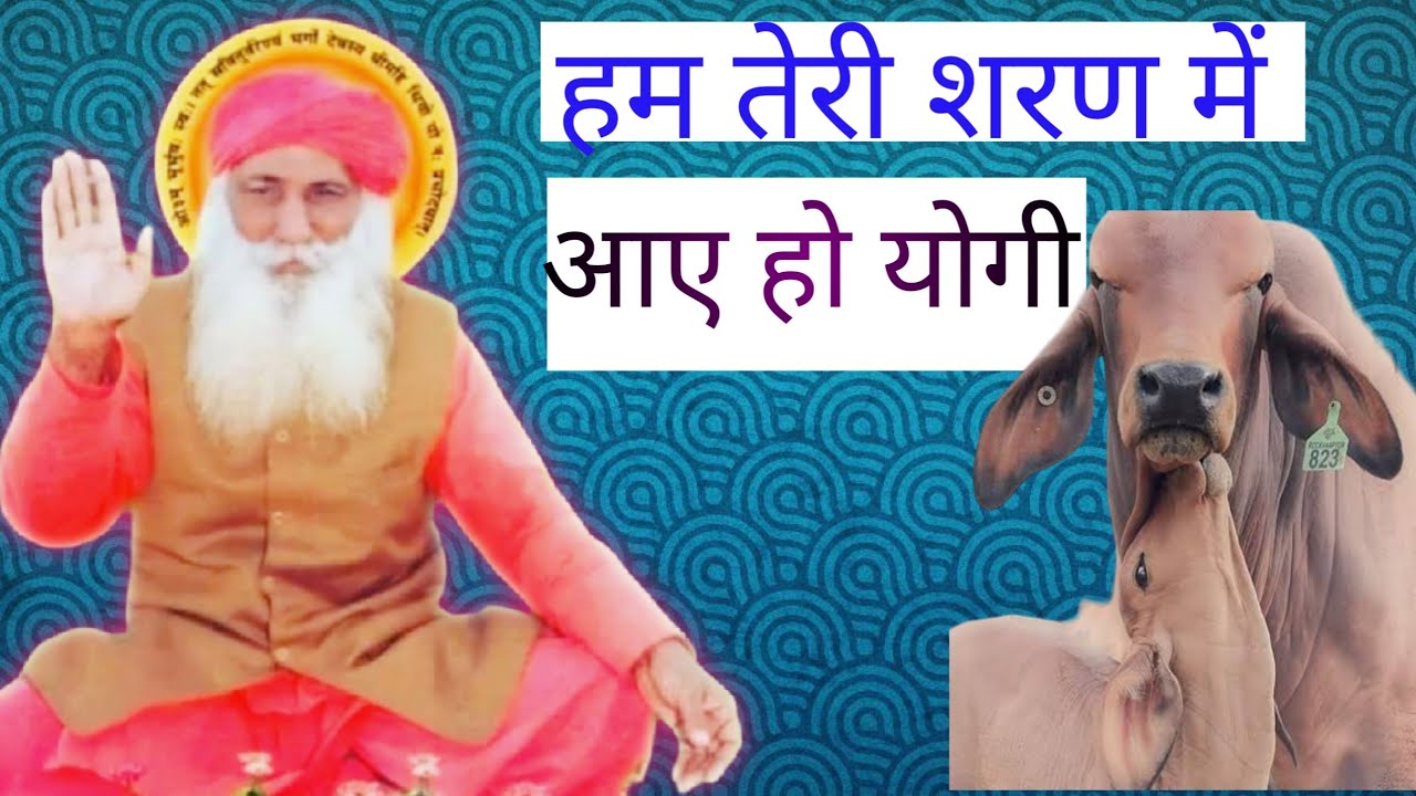 हम तेरी शरण में आए हो योगी //उचाना खुर्द गौशाल बाबा फूल्लू साध 🙏 जन्मोत्सव प्रोग्राम #dkuchaniya 