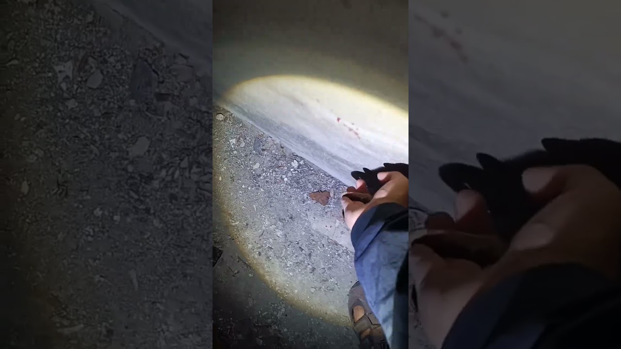 探险废墟监狱
