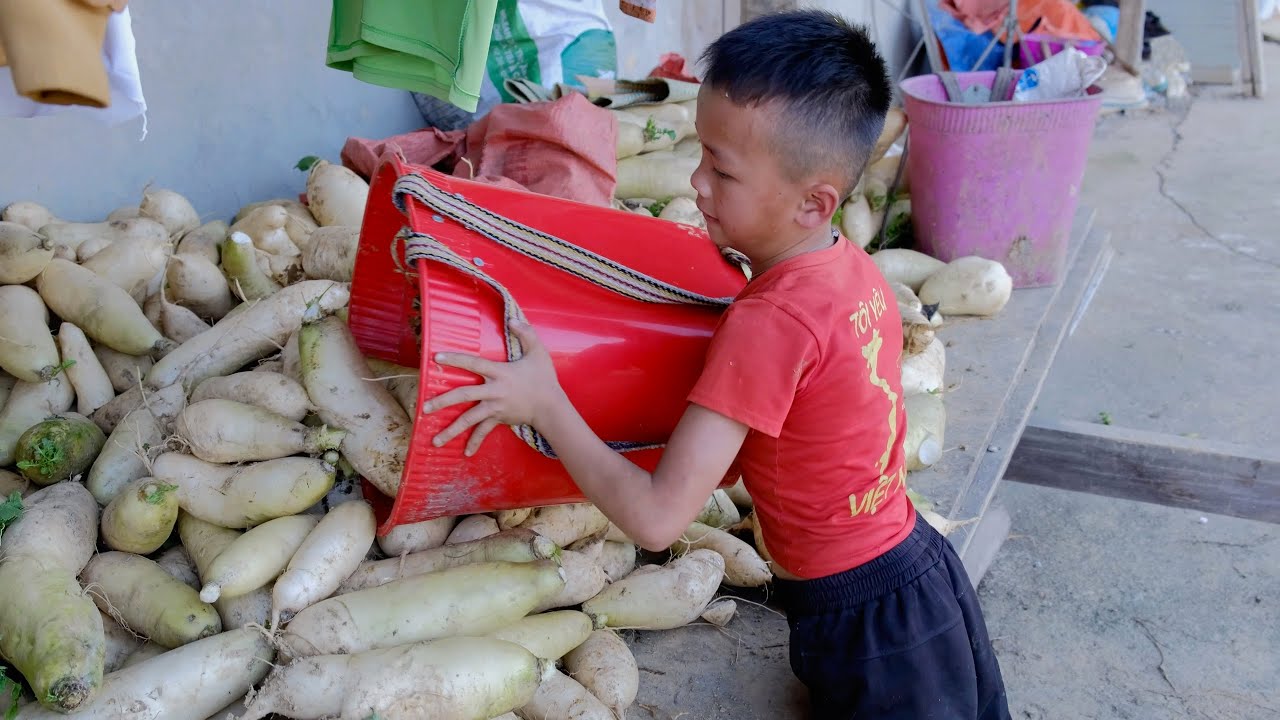 A boy helps his mother harvest vegetables and fruits in the high mountains | Vietnam village life