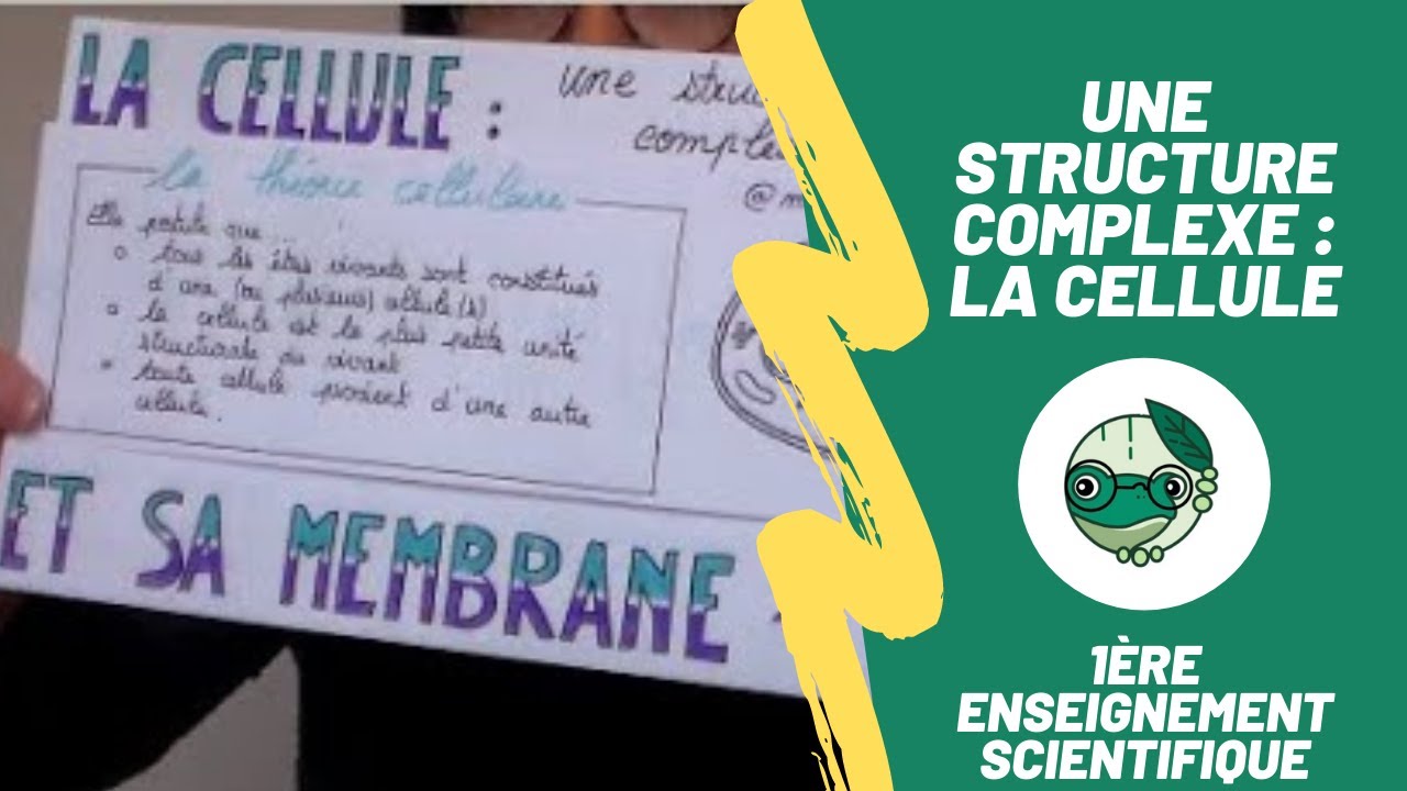 Une structure complexe : la cellule - 1ère enseignement scientifique - Madame SVT